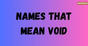 names that mean void