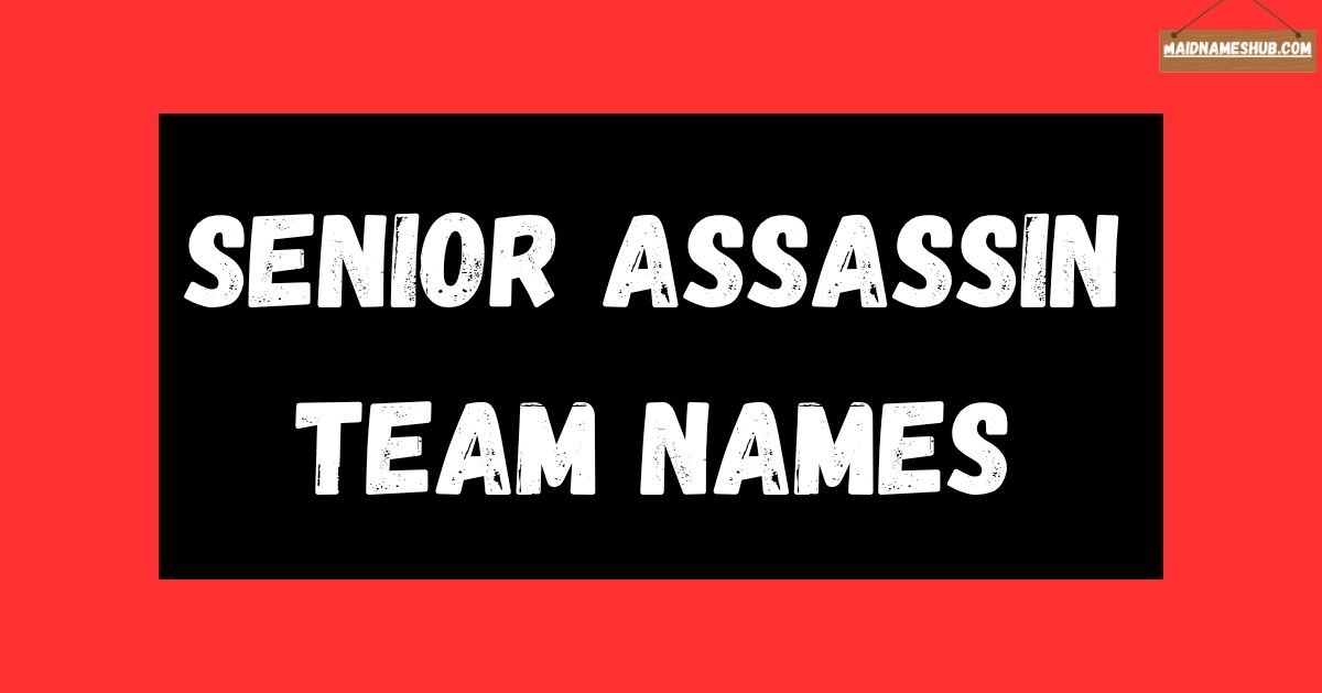 senior assassin team names